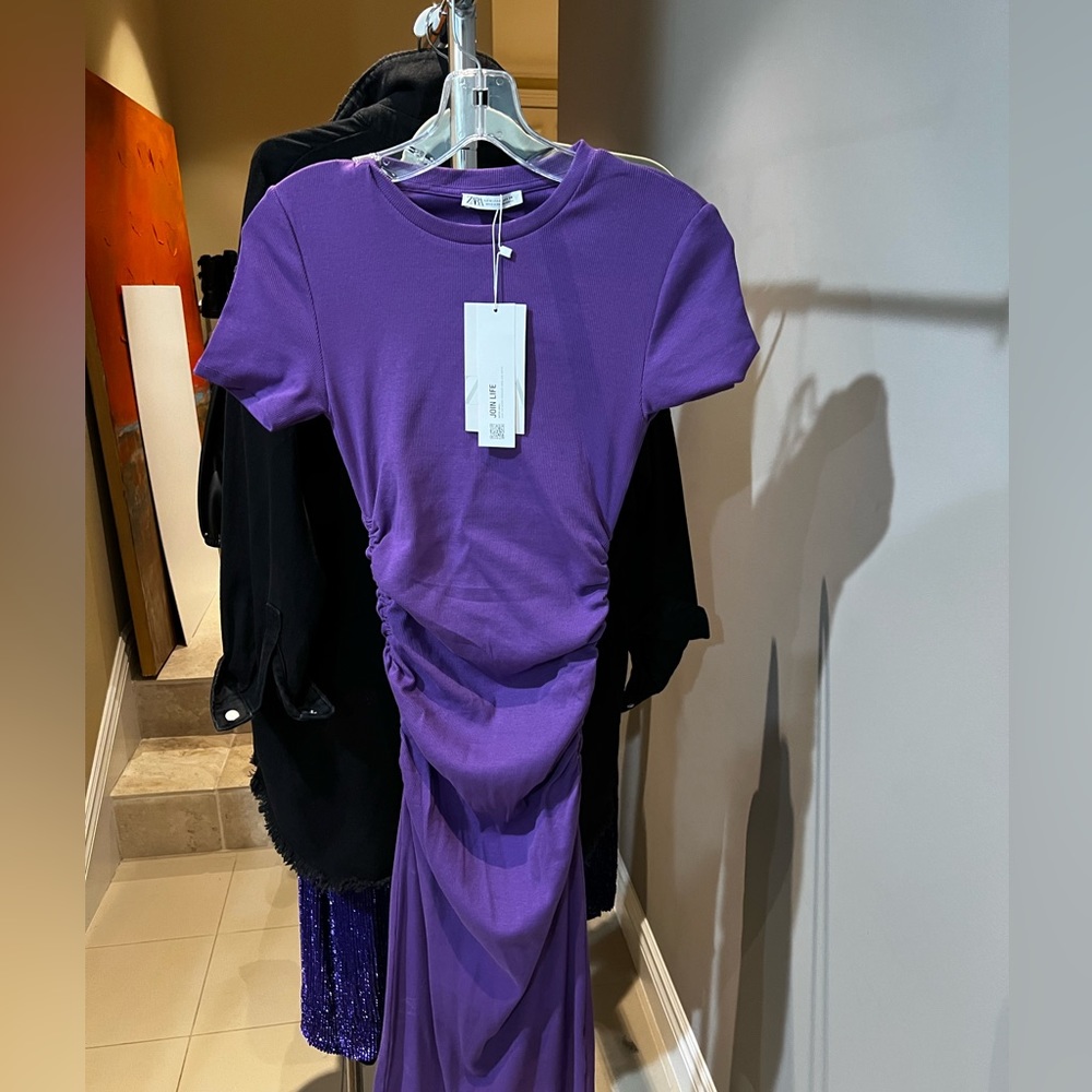 Zara dress